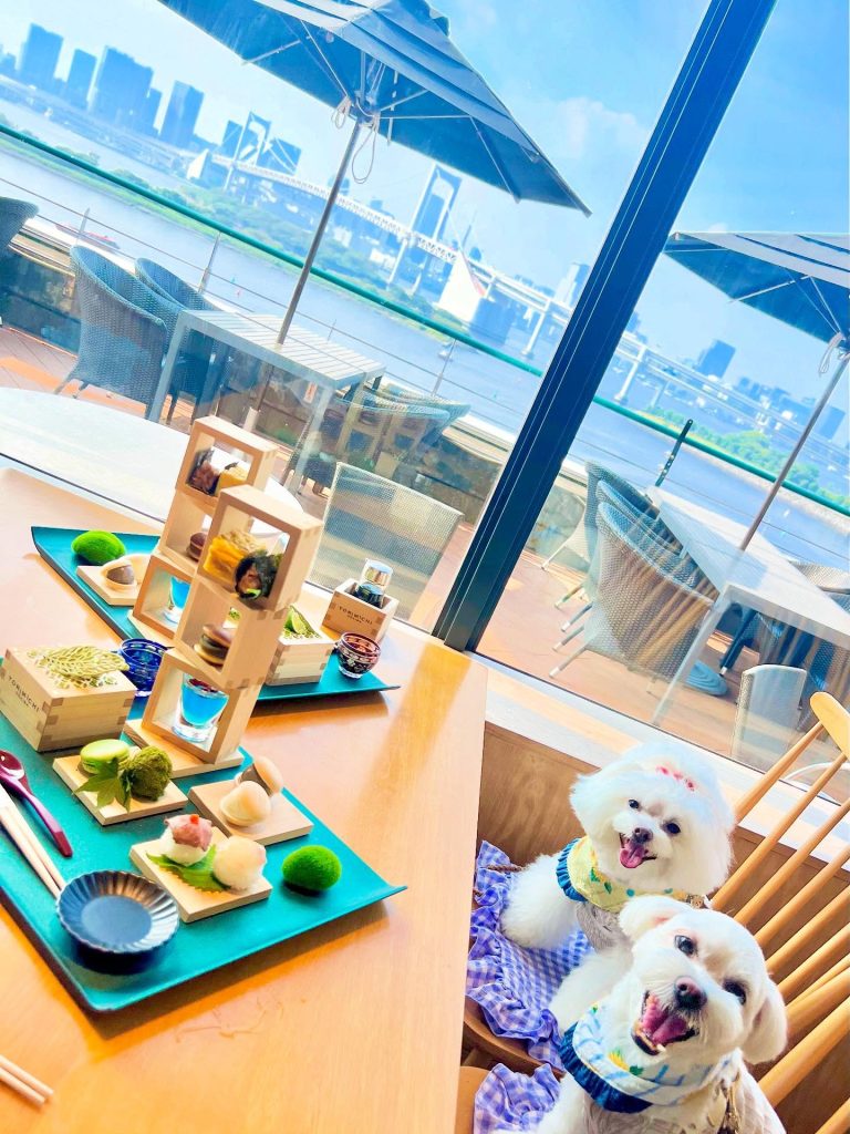 photo by @mofumofu_koyuki_ippei