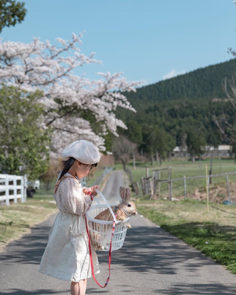 photo by @y.shodo