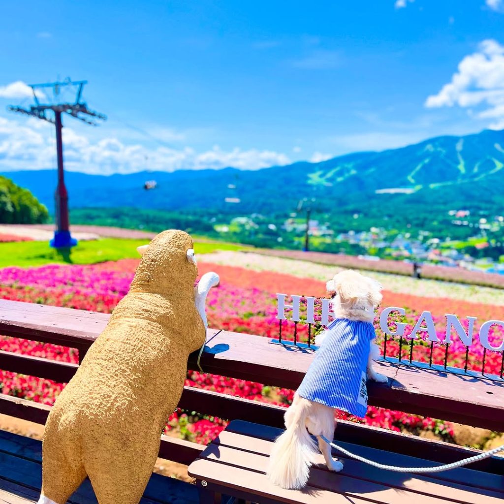 photo by @milkcoco1215