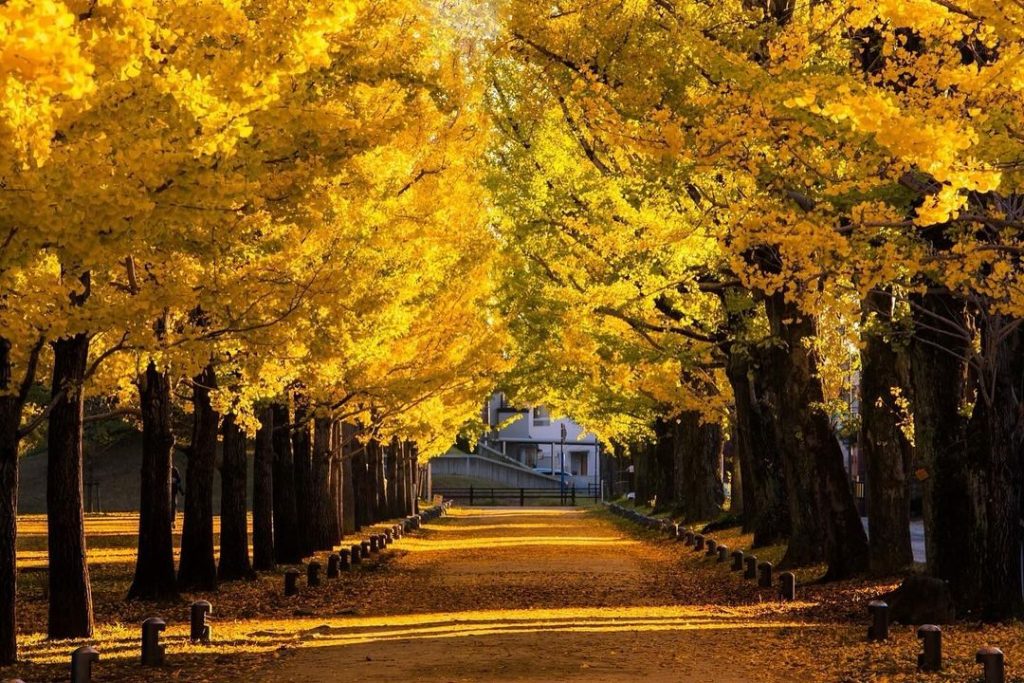 photo by @atsushi.k.photography