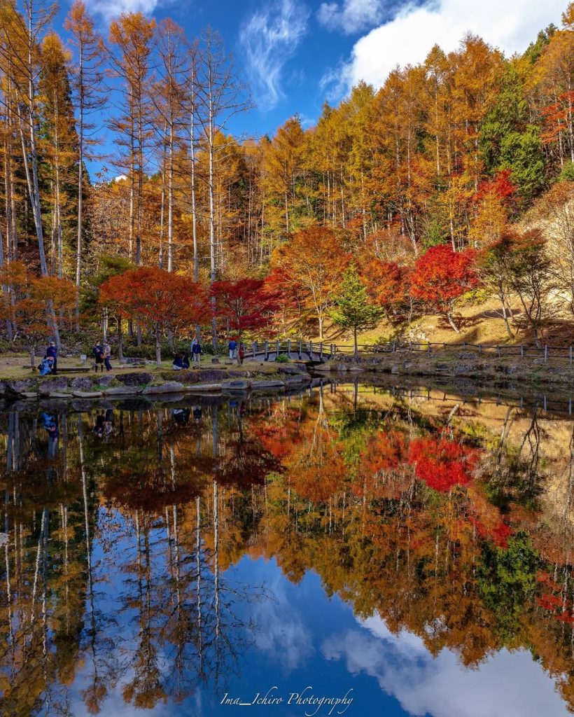 photo by @ima_ichiro