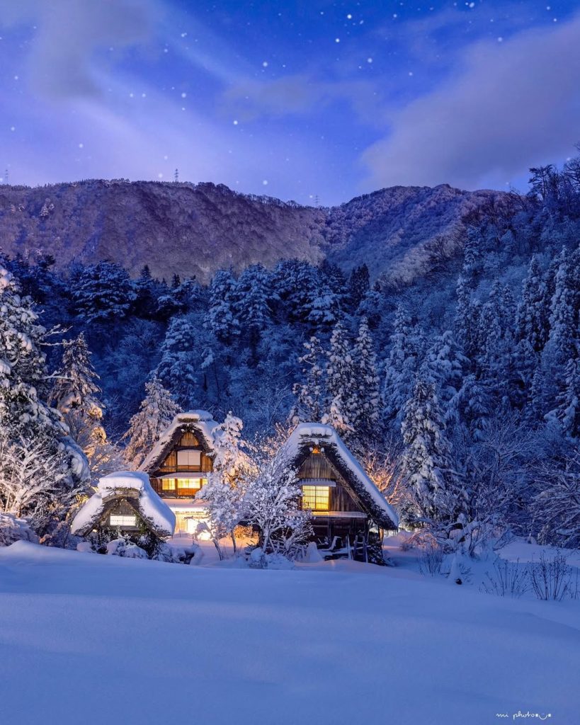 photo by @itokyon.chan_nn