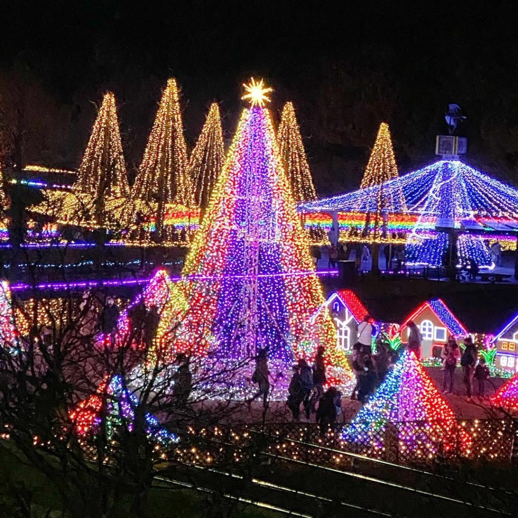 photo by @larimar0612