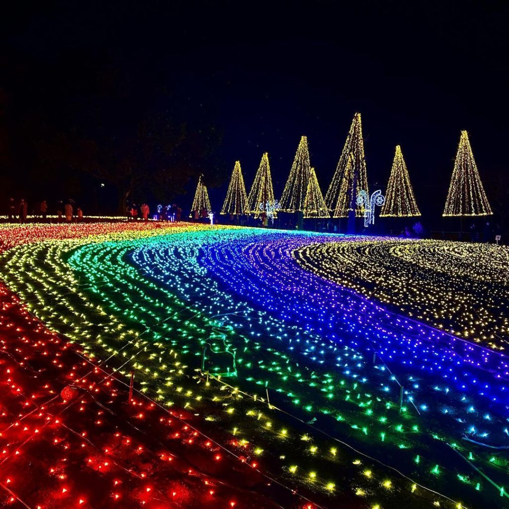 photo by @larimar0612