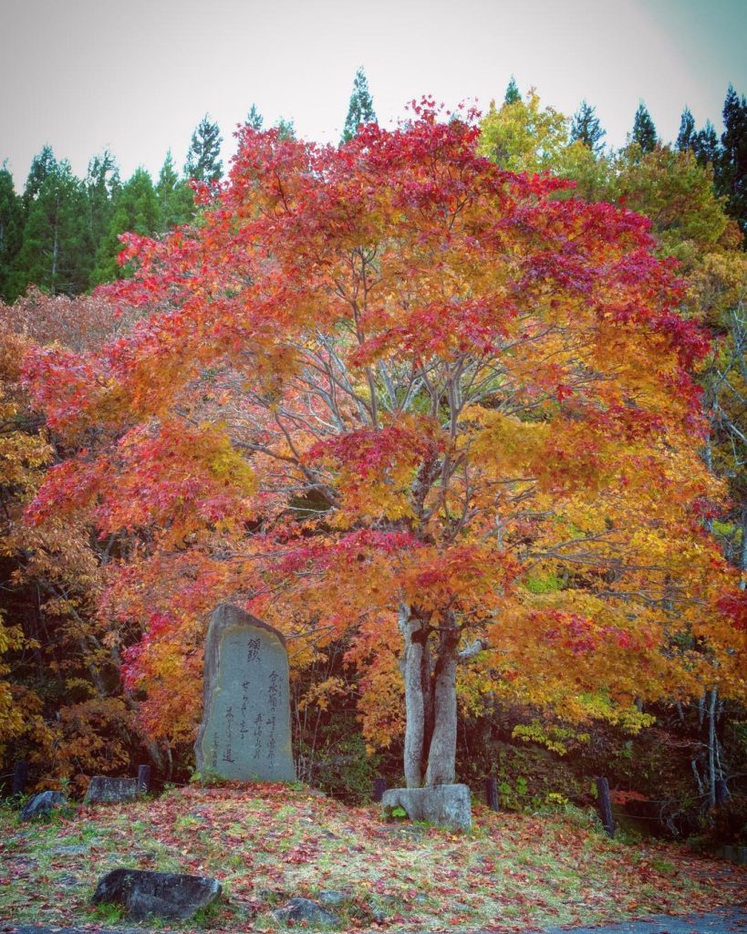 photo by @suguru_nagoya