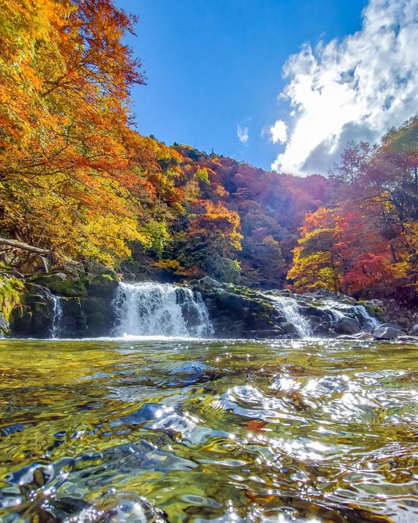 photo by @yui_photo_1108