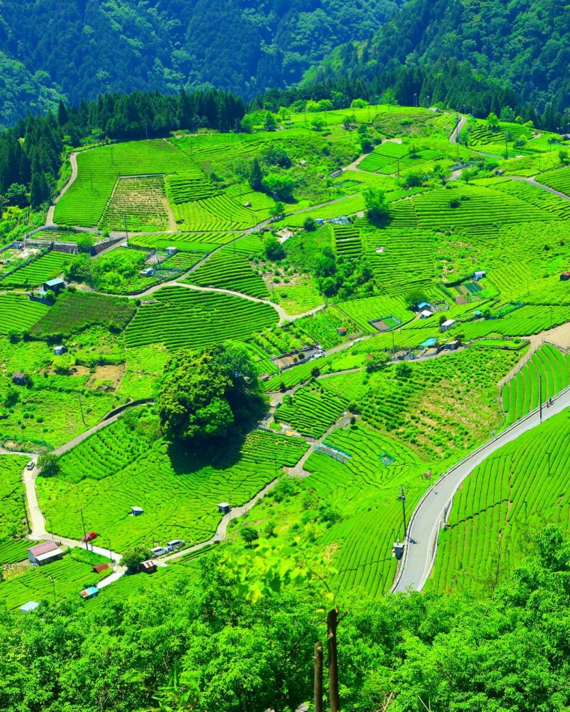 photo by @kazunaga415