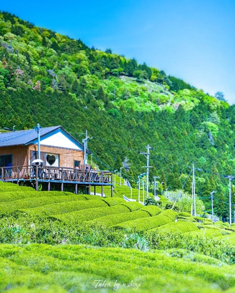 photo by @n.shinji.nan