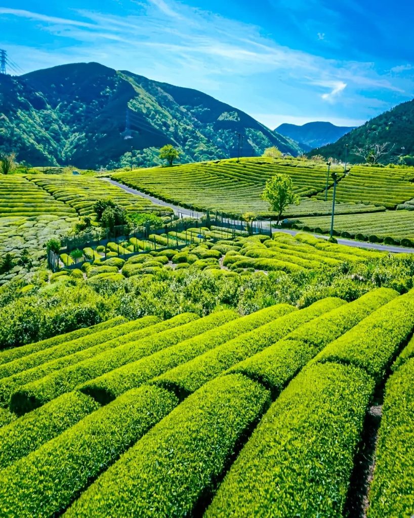 photo by @n.shinji.nan